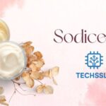 Sodiceram Ceramic Solutions: Modern Ceramic Technology For Contemporary Design
