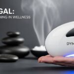 Dympigal Meaning, Origins, and Its Modern Relevance